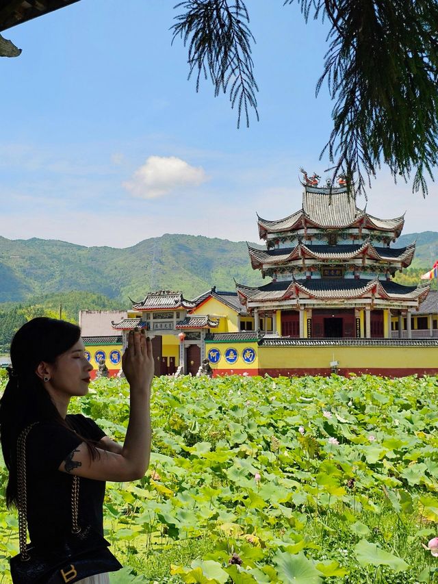 周寧！你這個避暑小城藏的太深了！！！