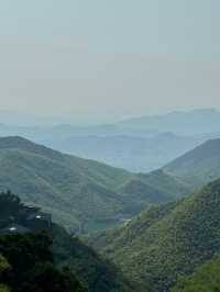 救命到底是谁说莫干山能避暑的