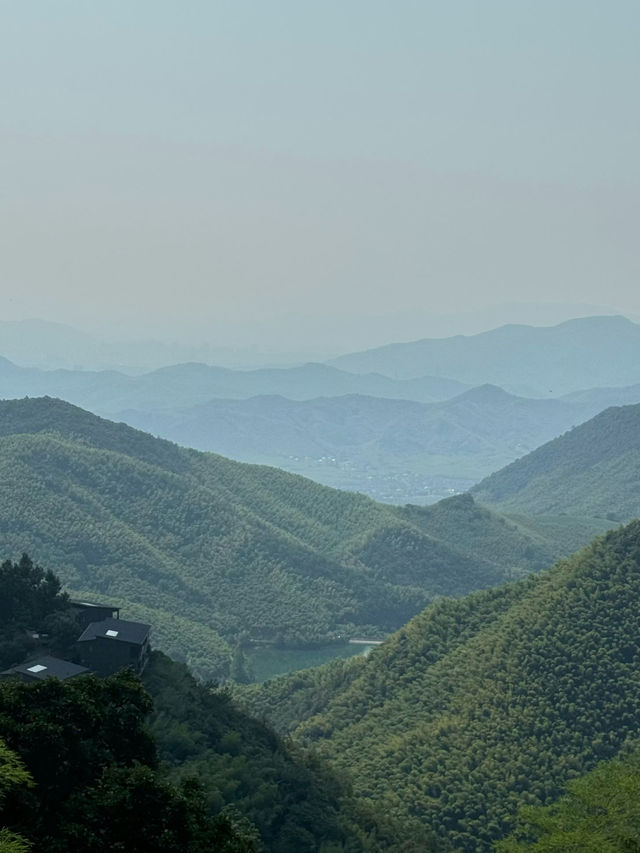 救命到底是谁说莫干山能避暑的