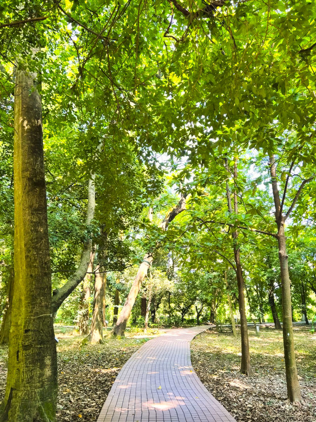 地鐵直達丨INFJ推薦丨廣州6號線上的小眾公園