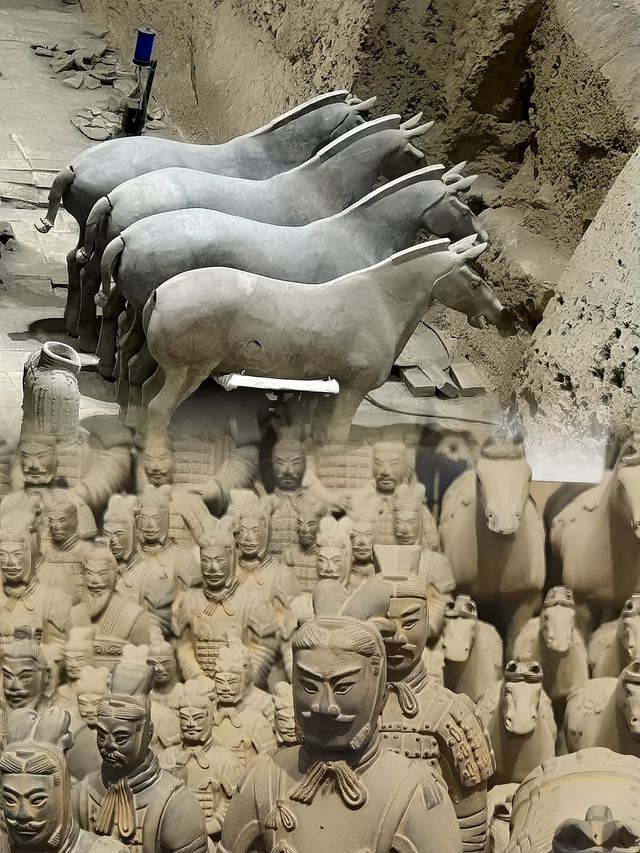 參觀兵馬俑又有新規定啦！
