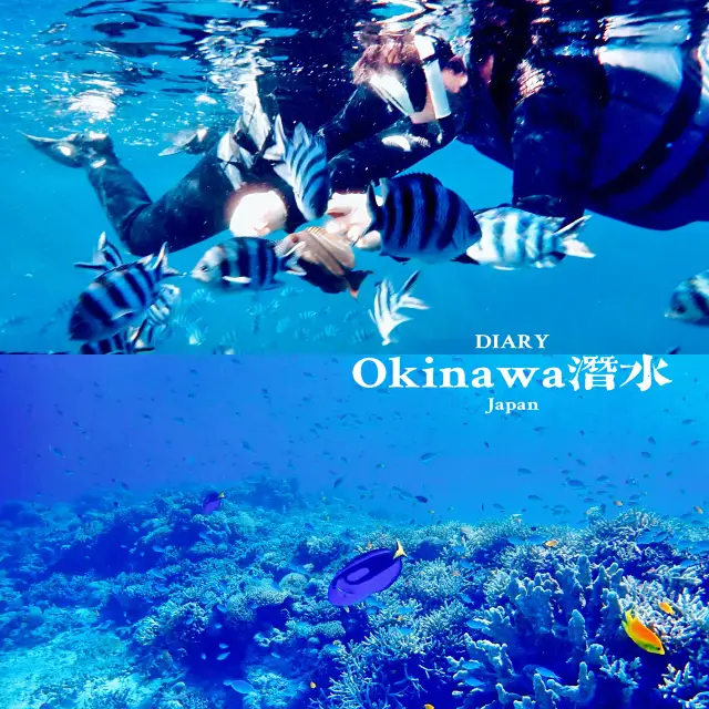 【沖縄海景攻略】海底秘境，驚喜連連！