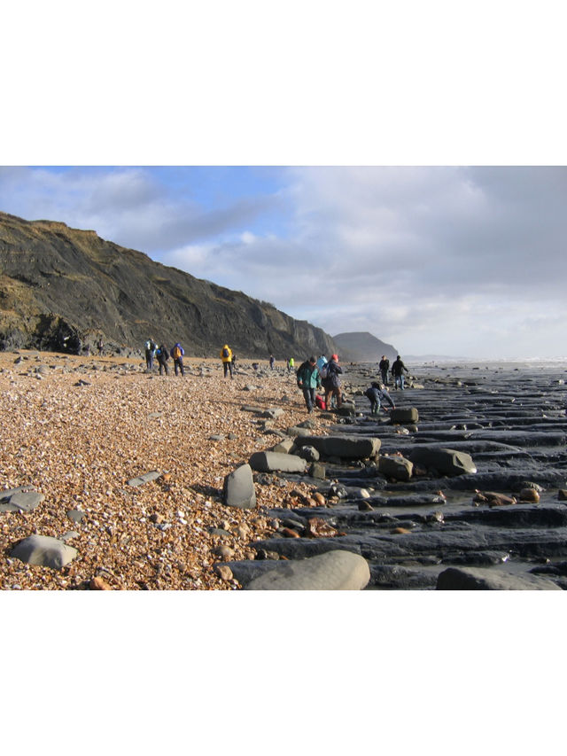 UK Top Fossil Hunting Destinations & My Essential Tips🦖💓