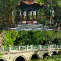 星辰之下的秘密花園……