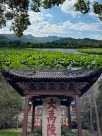 太生氣了，為什麼沒人早點告訴我這個寶藏地，大禹陵