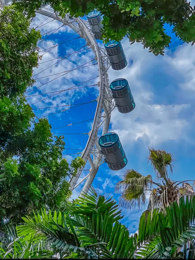 新加坡必打卡 | 摩天觀景輪Singapore Flyer。