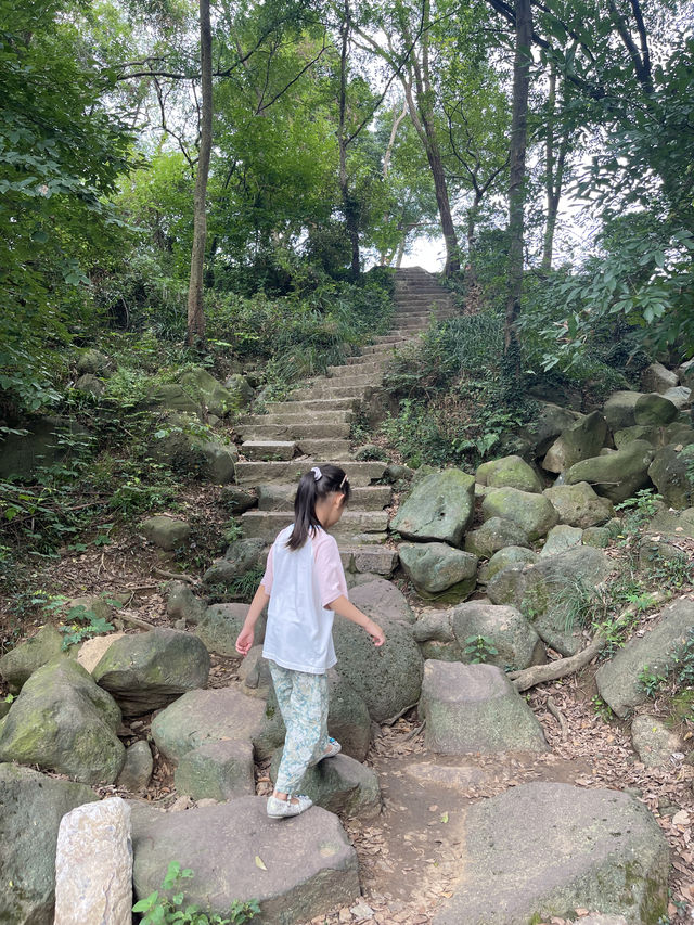 南京這個免費景區竟然藏著世界第一斜塔