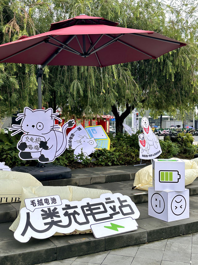 成都寵物市集來啦！！毛孩子握手打招呼好開心......