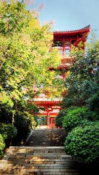 聽講西安豐慶公園錦簇芳菲，打卡過公園"山水綠叢中"才知曉。