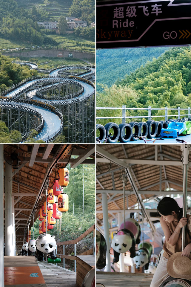 杭州附近的高山草原在秋季限定版變成了一幅美麗的油畫風景!