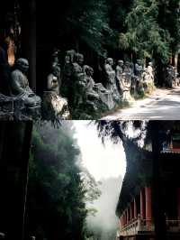 不是阿勒泰去不起而是重慶更有性價比！！。