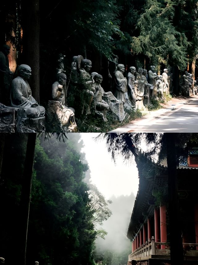 不是阿勒泰去不起而是重慶更有性價比！！。