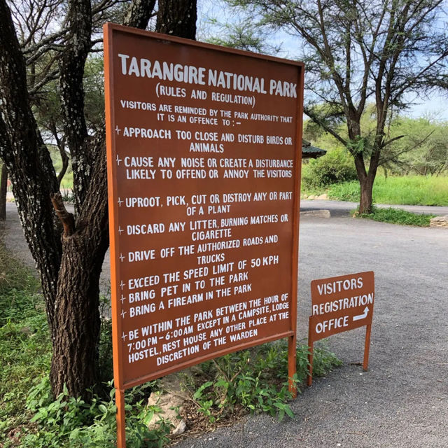 Tarangire national park wildlife 