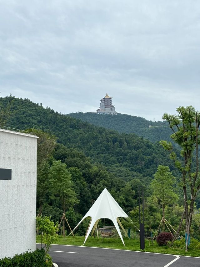 大隱半山東方山下新開茶園美宿。 大隱半山東方山下新開茶園美宿。