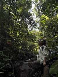 國慶基諾山雨林徒步探險之旅