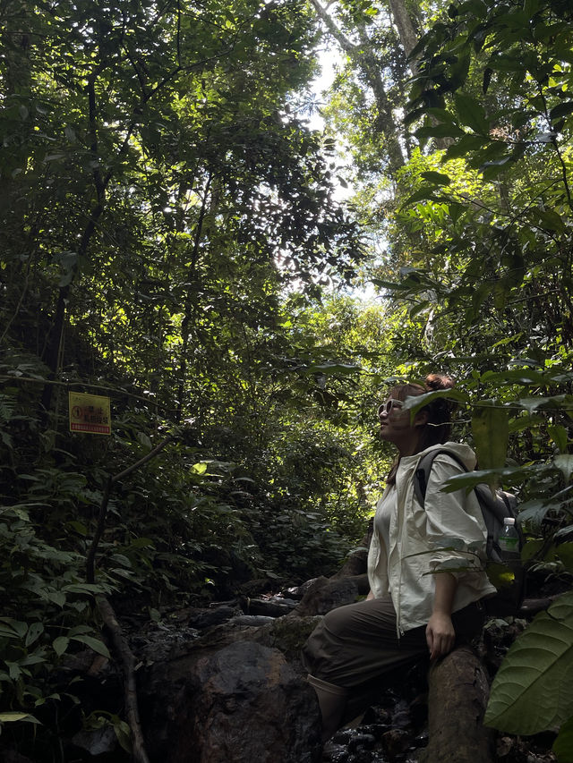 國慶基諾山雨林徒步探險之旅