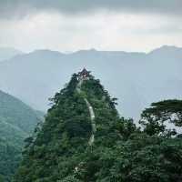 探秘萬佛山：自然奇观與佛教聖地的完美邂逅