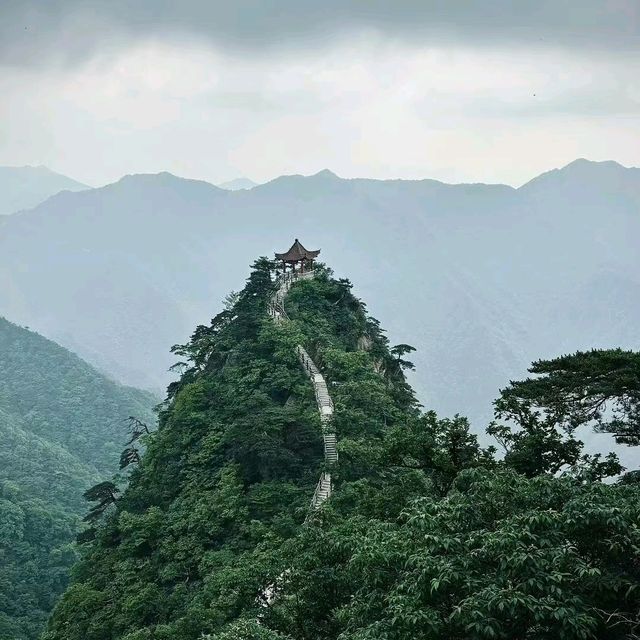 探秘萬佛山：自然奇观與佛教聖地的完美邂逅