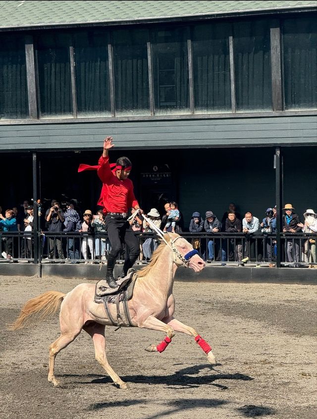 烏市必玩：野馬生態園。