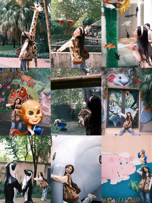來成都玩一定不能錯過動物園。