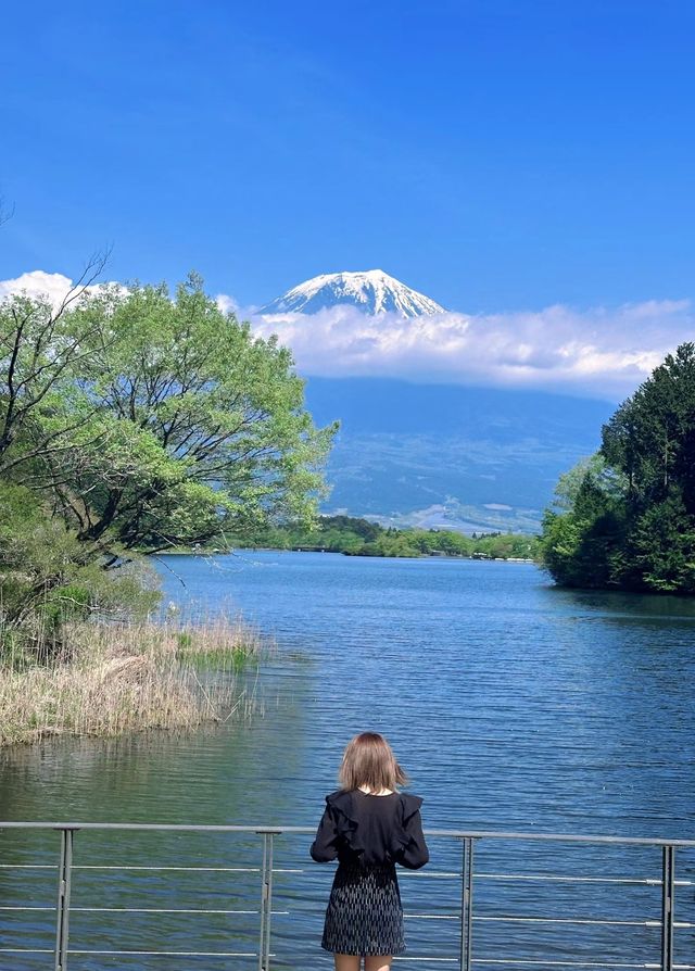 遠上寒山石徑斜的那個寒山。