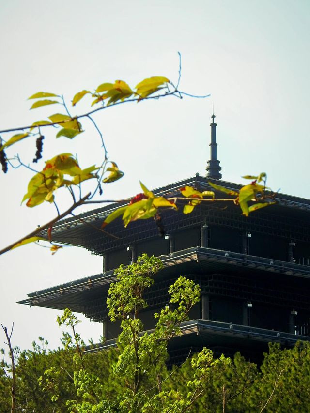 花築奢·荊門｜深藏不露，不可錯過小眾景點。