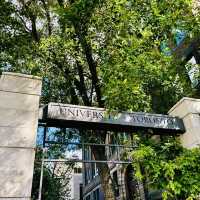 City of Toronto Sign ( Canada)