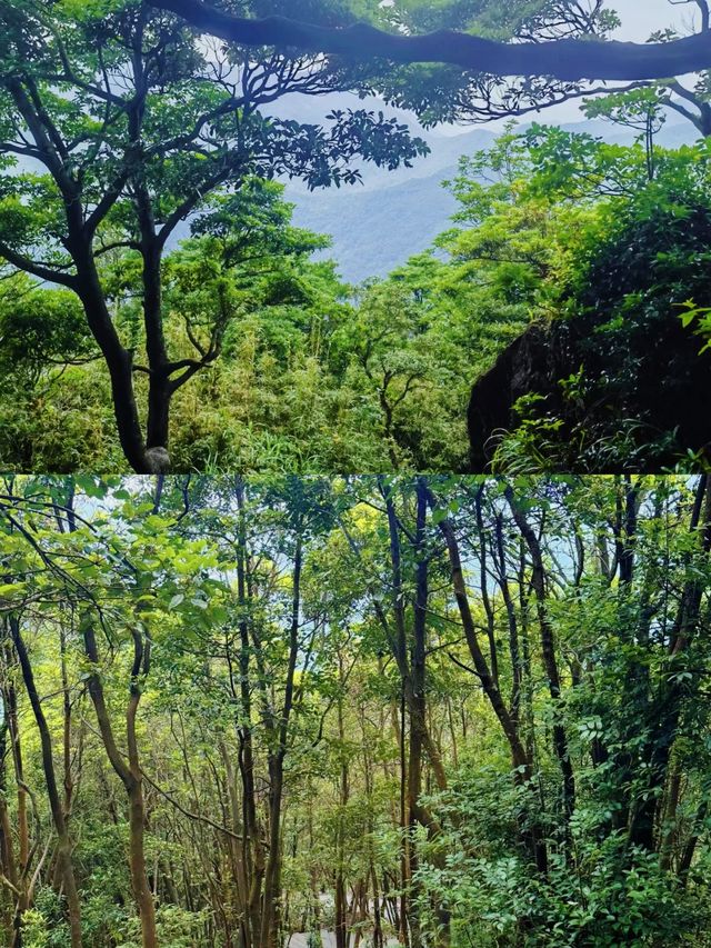 攀登東莞地標建築——銀瓶山一覽眾山小。