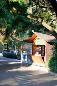 桂林西山公園 | 城市中的自然寶藏。