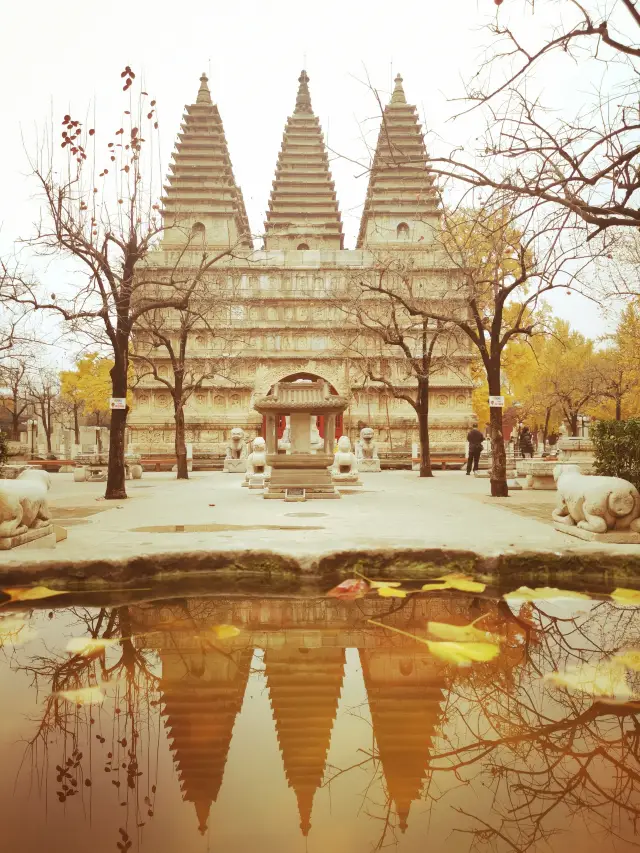 北京五塔寺最後一抹秋色。