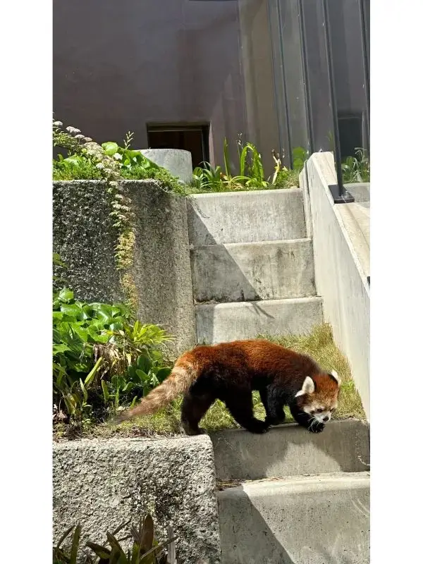 名古屋旅遊指南 - 東山動植物園