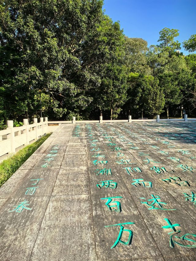 文筆嶺森林公園。