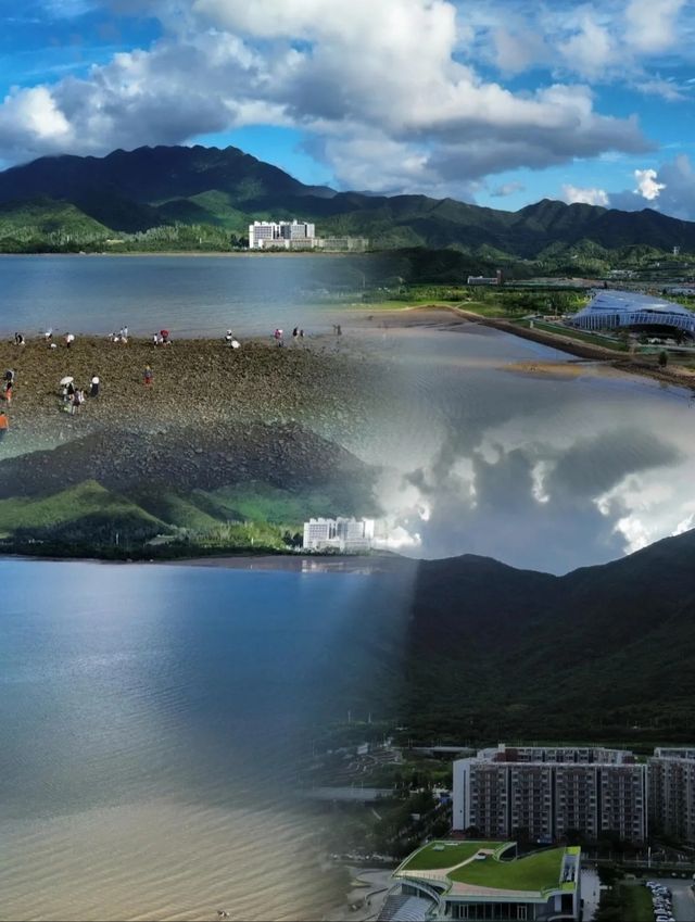 深圳白沙灣公園|邂逅自然之美,重拾生活。 深圳白沙灣公園|邂逅自然之美,重拾生活。