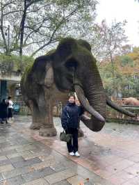 🐘🦒杭州動物園|又去看動物了🥳