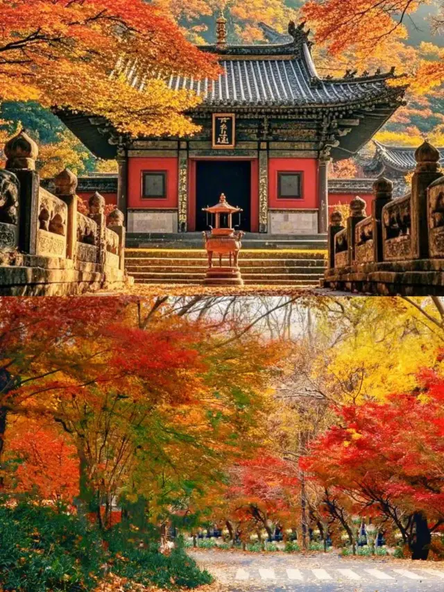 以為南京已經很美了，直到我去了這裡……