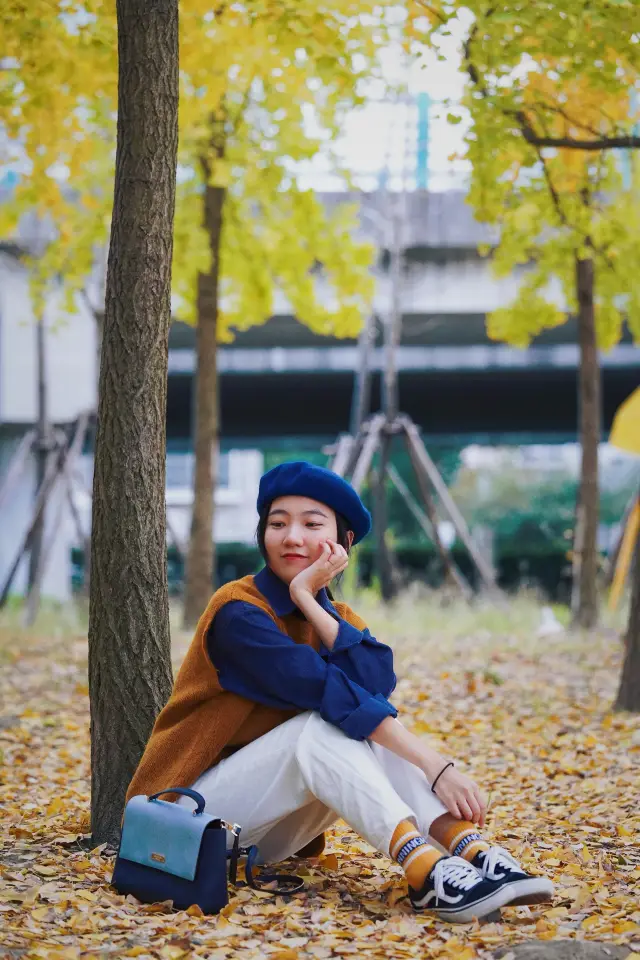 상하이 가을 구경｜이 길의 은행나무 숲이 노랗게 물들었어요