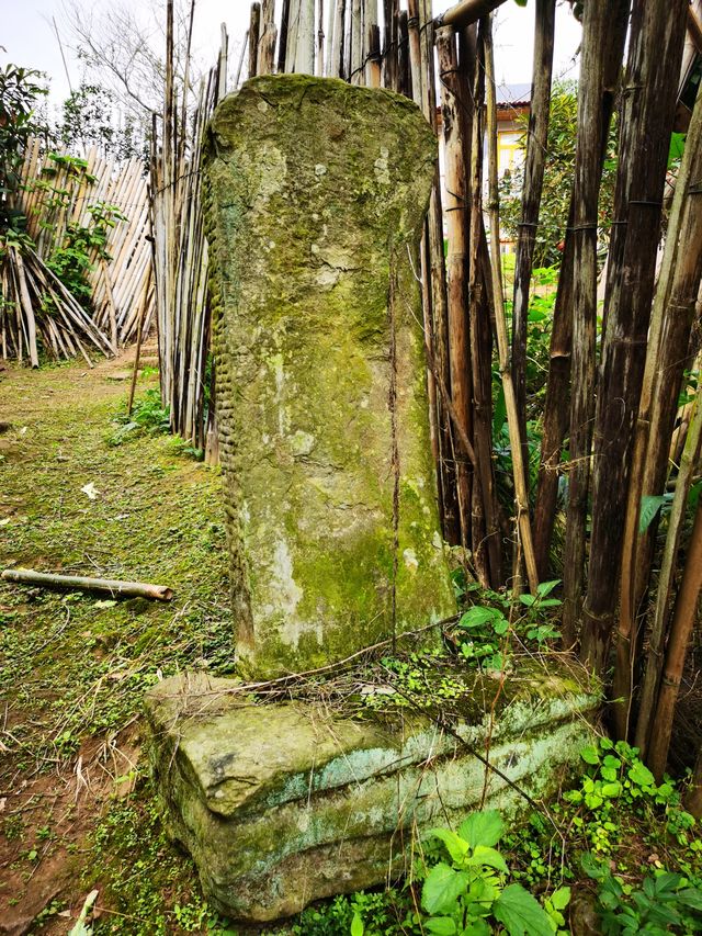 重訪貢井艾葉沙塘半島