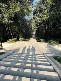 金鱗豈是池中物 | 江夏青龍山森林公園