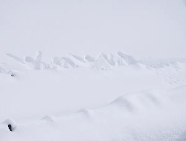 北海道｜我的雪國日記⛄️