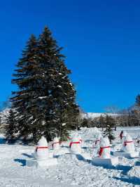 長白山｜南方小土豆被冬日雪景震撼到了！