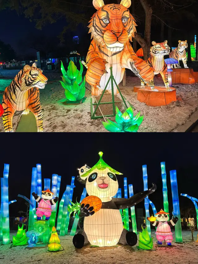 창춘 동식물원 야간 투어, 서유기의 환상적인 여행으로 돌아가는 꿈!