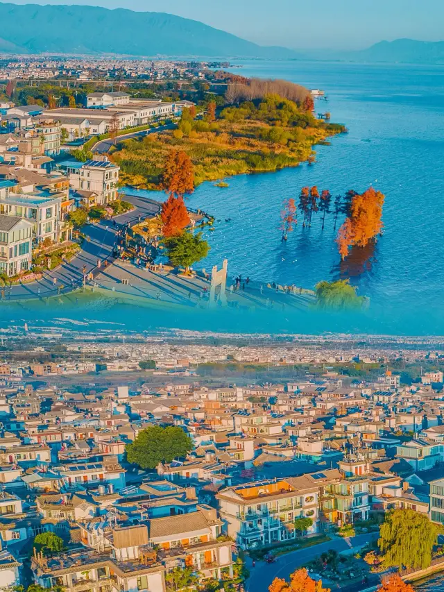 Love of Erhai Lake, every frame is wallpaper level! 