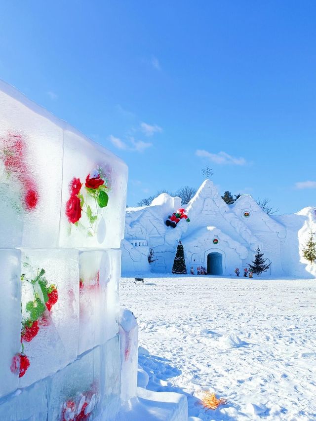 東北打卡不只有爾濱，長白山最美雪屋！