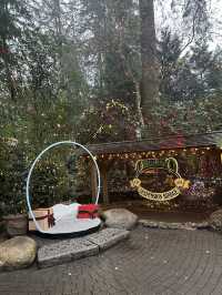 Experience the Thrill of Capilano Suspension Bridge Park