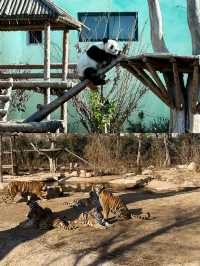 歐樂堡動物園攻略新手必看！
