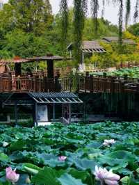 鄭州紫荊山公園遊覽攻略！帶你看遍美景！
