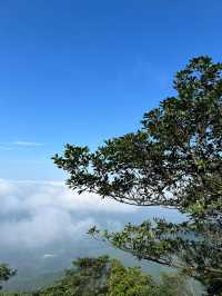 廣西貴港平天山|廣西阿勒泰