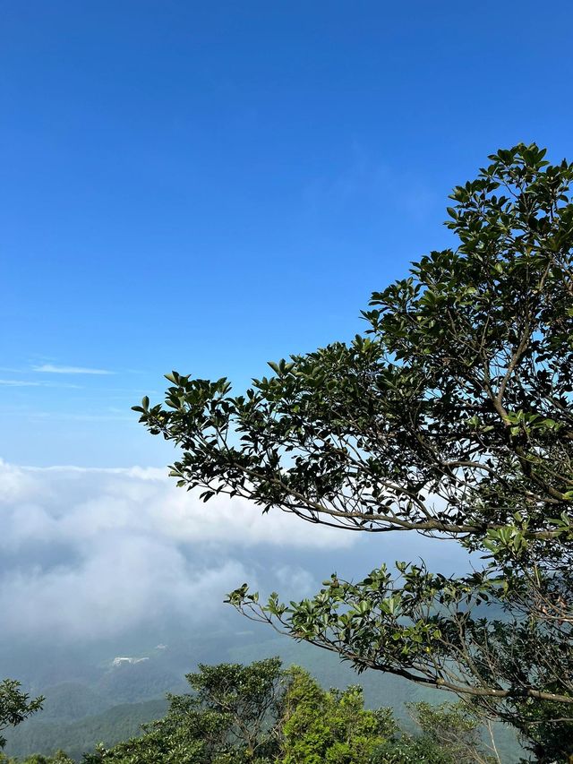 廣西貴港平天山|廣西阿勒泰
