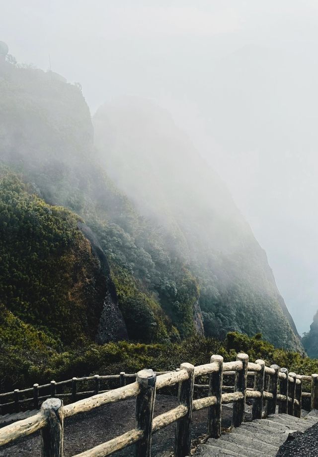 百山計劃–貓兒山