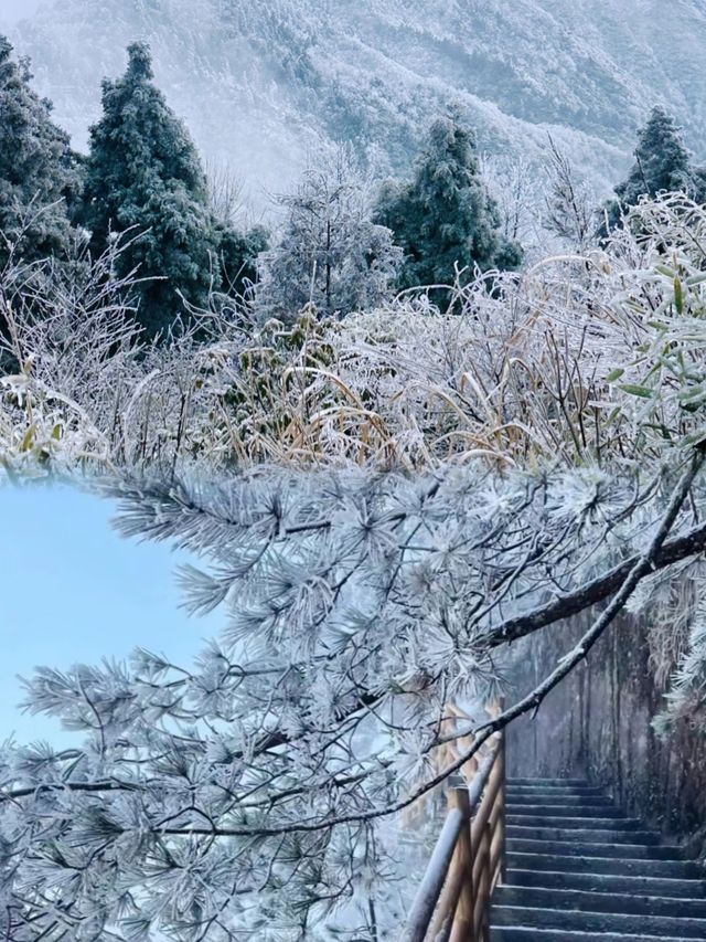 高鐵2h直達最適合廣東人的賞雪聖地